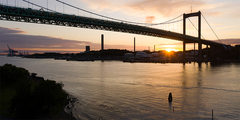 divi-cart-pro-about-1